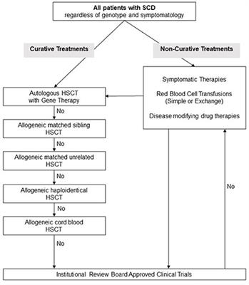 Development of curative therapies for sickle cell disease